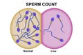 Male fertility for sperm count