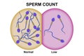 Male fertility for sperm count Royalty Free Stock Photo