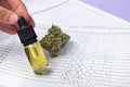 Male fingers hold a bottle of cbd oil extract, next to dry buds of medical marijuana. Alternative treatments for epilepsy