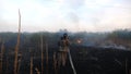 Male fireguard in full equipment walking with fire hose on burnt grass at countryside. Young fireman in uniform going