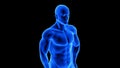 Male fitness body - muscle mass building illustration on black background