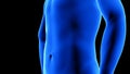 Male fitness body transformation - before, abdominal muscles detail - muscle mass building animation on black background