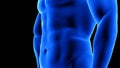 Male fitness body transformation - after, abdominal muscles detail - muscle mass building animation on black background