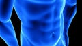 Male fitness body transformation, abdominal muscles detail - muscle mass building illustration on black background