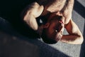 Muscular man exercising doing sit up exercise Royalty Free Stock Photo