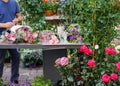 Male florist creating beautiful bouquet in flower shop. outdoor working in flower shop. Man assistant or owner in floral