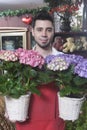 Male Florist Hydrangea Plants