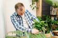 Male florist transplanting homemade flowers after shopping. Landscaping at home. Small business