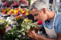 Male florist trimming stems of flowers at flower shop Royalty Free Stock Photo