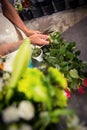 Male florist trimming stems of flowers at flower shop Royalty Free Stock Photo