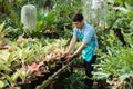 Male florist working at the garden