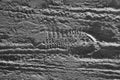 male footprint in the sand, footprint, many footprints in the sand, textured print, shadows and patterns,