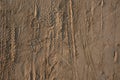 Male footprint in the sand, footprint, many different footprints in the sand, textured footprint, shadows and patterns, black and Royalty Free Stock Photo