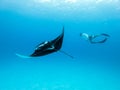 Underwater view of hovering Giant oceanic manta ray, Manta Birostris , and man free diving in blue ocean. Watching