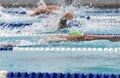 Male freestyle swimmers in a close race Royalty Free Stock Photo