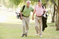 Male Friends Enjoying A Game Of Golf