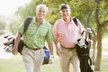 Male Friends Enjoying A Game Of Golf