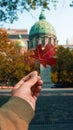 Male in front of a building, holding up a single red leaf in his outstretched hand Royalty Free Stock Photo