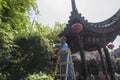 Male garden worker standing on wooden ladder trimming plants