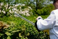 A male gardener cuts a hedge, carefully shaping the top of large green bushes with an electric edger. The concept of Royalty Free Stock Photo