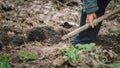 Male Gardener digging in a vegetable garden with a shovel. Farmer Man in boots working hands with spade digging black soil, lawn.f Royalty Free Stock Photo