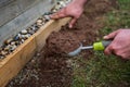 Male gardener holding scoop trowel full of soil, spreading soil on bald grassy patch on garden lawn.