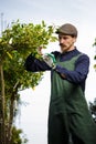 Cropped shot of a young male gardener while clipping or prune the tree in horticulture