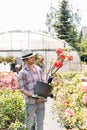 Male gardener looking at flower pot outside greenhouse