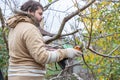 Male gardener prune fruit tree using battery powered pruning secateurs, shears. Pruning electric tools. Farmers prunes branches of Royalty Free Stock Photo