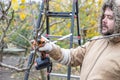 Male gardener prune fruit tree using battery powered pruning secateurs, shears. Pruning electric tools. Farmers prunes branches of Royalty Free Stock Photo