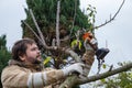 Male gardener prune fruit tree using battery powered pruning shears, secateur. Pruning electric tools. Farmers prunes and cuts Royalty Free Stock Photo