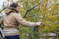 Male gardener prune fruit tree using battery powered pruning shears, secateur. Pruning electric tools. Farmers prunes and cuts Royalty Free Stock Photo