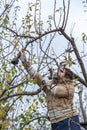 Male gardener prune fruit tree using battery powered pruning shears, secateurs. Pruning electric tools. Farmers prunes and cuts Royalty Free Stock Photo