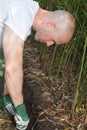 Male gardener removing grass layer in garden