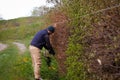 A male gardener trims a hedge in early spring, leveling it with stretched laces