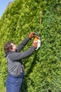 Male gardener trims the high hedges with an electric hedges trimmer. A property owner trimming the hedges Royalty Free Stock Photo