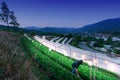 Male gardener turns on the lights in his greenhouse