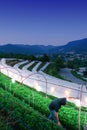 Male gardener turns on the lights in his greenhouse