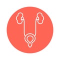 Male genitourinary system color line icon. Pictogram for web page