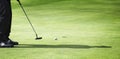 Male golfer putting. Royalty Free Stock Photo