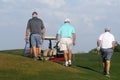 Male golfers on putting green.