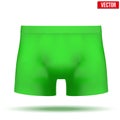 Male green underpants brief. Vector Illustration Royalty Free Stock Photo