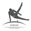 Male gymnast horse Royalty Free Stock Photo