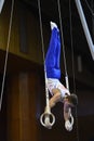 Male gymnast performing on stationary gymnastic rings Royalty Free Stock Photo