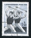 Male gymnasts with practice bars