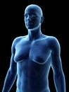 A male with gynecomastia