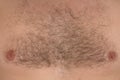 Male hair chest Royalty Free Stock Photo