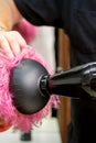 Hairdresser drying pink hair of client Royalty Free Stock Photo