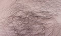 Male hairy shaggy chest close-up Royalty Free Stock Photo