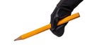 A male hand in a black grill glove holds a very large yellow pencil isolated on a white background. Macro Royalty Free Stock Photo